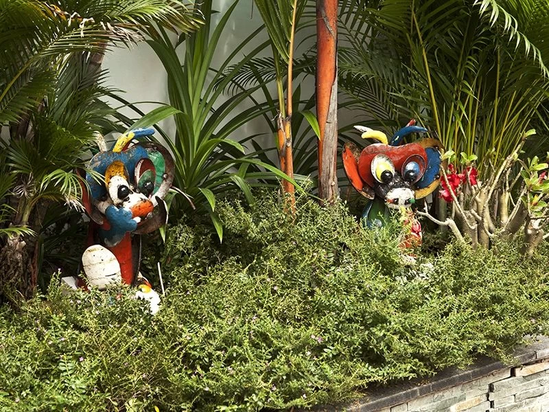 Bongo The Cheeky Monkey 4 Bongo The Cheeky Monkey - Image 2