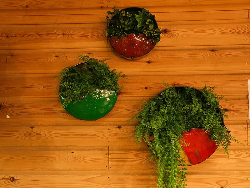 Circle Of Life | Circular Wall Planters (Set Of Three) 3 Circle Of Life | Circular Wall Planters (Set Of Three)