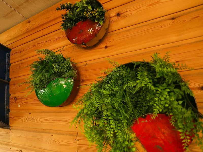 Circle Of Life | Circular Wall Planters (Set Of Three) 4 Circle Of Life | Circular Wall Planters (Set Of Three) - Image 2