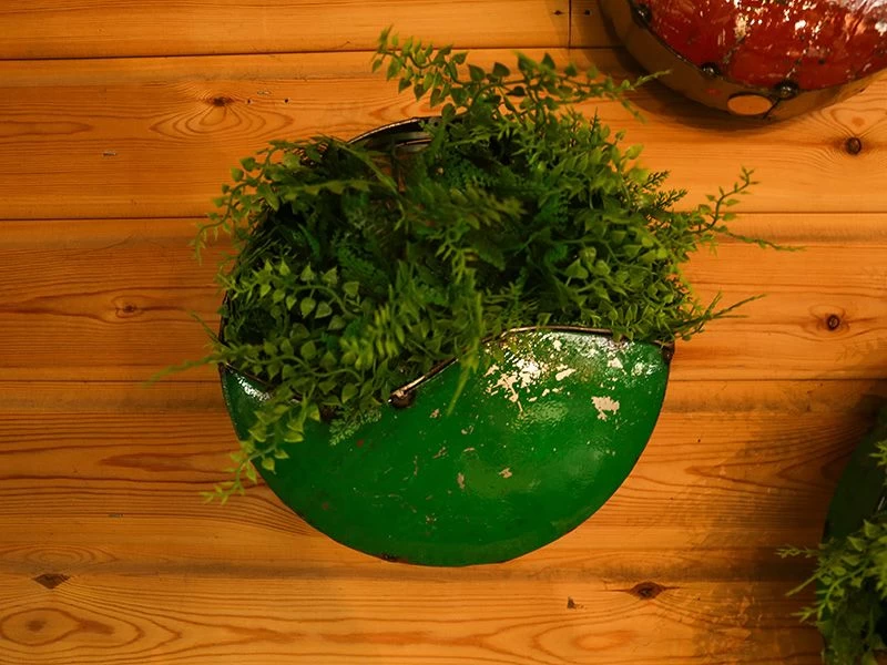 Circle Of Life | Circular Wall Planters (Set Of Three) 5 Circle Of Life | Circular Wall Planters (Set Of Three) - Image 3