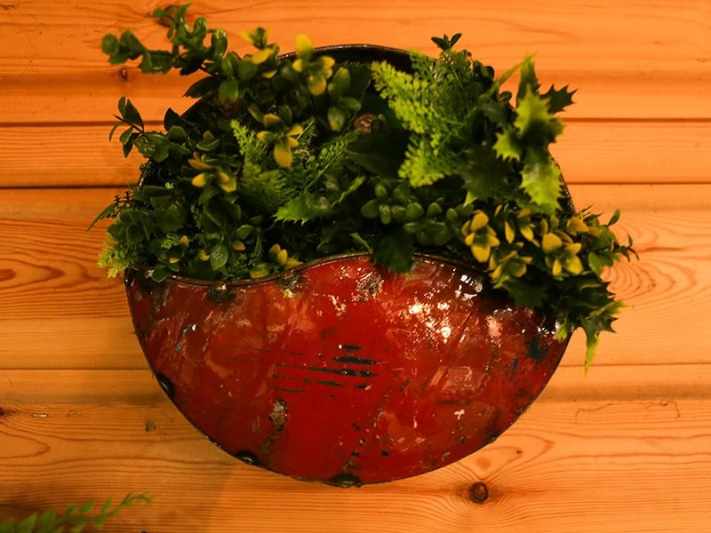 Circle Of Life | Circular Wall Planters (Set Of Three) 6 Circle Of Life | Circular Wall Planters (Set Of Three) - Image 4