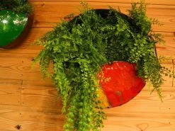 Circle Of Life | Circular Wall Planters (Set Of Three) 13 Circle Of Life | Circular Wall Planters (Set Of Three) -Garden Comfort Shop circle of life 5 bi