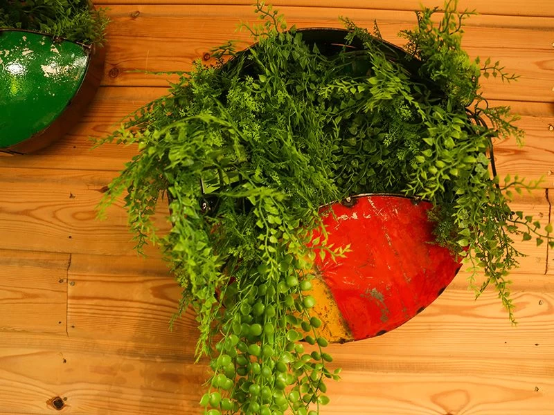 Circle Of Life | Circular Wall Planters (Set Of Three) 7 Circle Of Life | Circular Wall Planters (Set Of Three) - Image 5