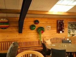 Circle Of Life | Circular Wall Planters (Set Of Three) 14 Circle Of Life | Circular Wall Planters (Set Of Three) -Garden Comfort Shop circle of life 6 bi