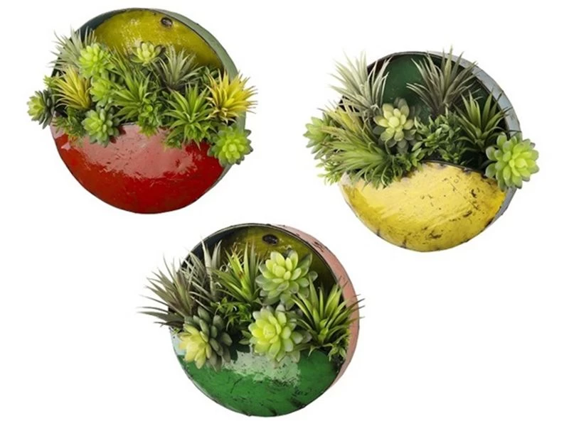 Circle Of Life | Circular Wall Planters (Set Of Three) 9 Circle Of Life | Circular Wall Planters (Set Of Three) - Image 7
