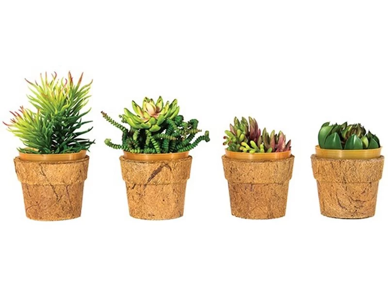 Cocopots Mini Heaven Planters (Set Of Four) 4 Cocopots Mini Heaven Planters (Set Of Four) - Image 2