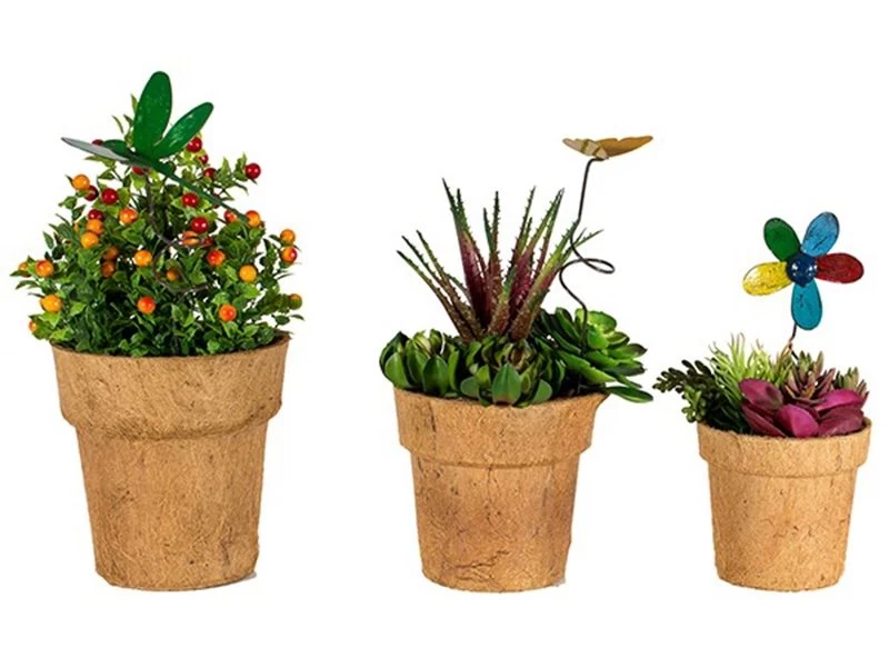 Cocopots Spring Time (Set Of Three) 4 Cocopots Spring Time (Set Of Three) - Image 2