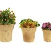 Cocopots Alare Natural (Set Of Three) 1 Cocopots Alare Natural (Set Of Three) -Garden Comfort Shop cocopots alare natural set of 3 20043