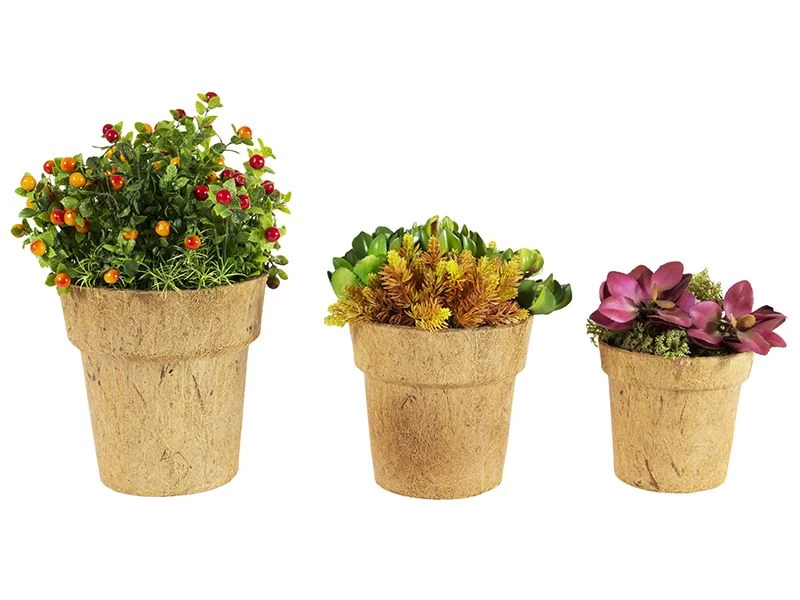 Cocopots Alare Natural (Set Of Three) 3 Cocopots Alare Natural (Set Of Three)