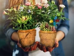 Cocopots Spring Time (Set Of Three)