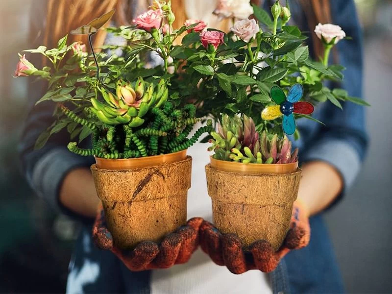 Cocopots Spring Time (Set Of Three) 3 Cocopots Spring Time (Set Of Three)