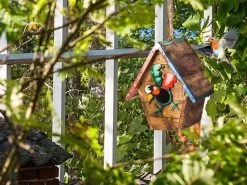 Walk The Line Bird House