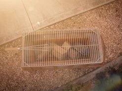 Kool Kombi Firepit And Grill 15 Kool Kombi Firepit And Grill -Garden Comfort Shop cool kombi fire pit resized 11