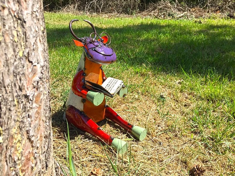 Cow Scholar 3 Cow Scholar