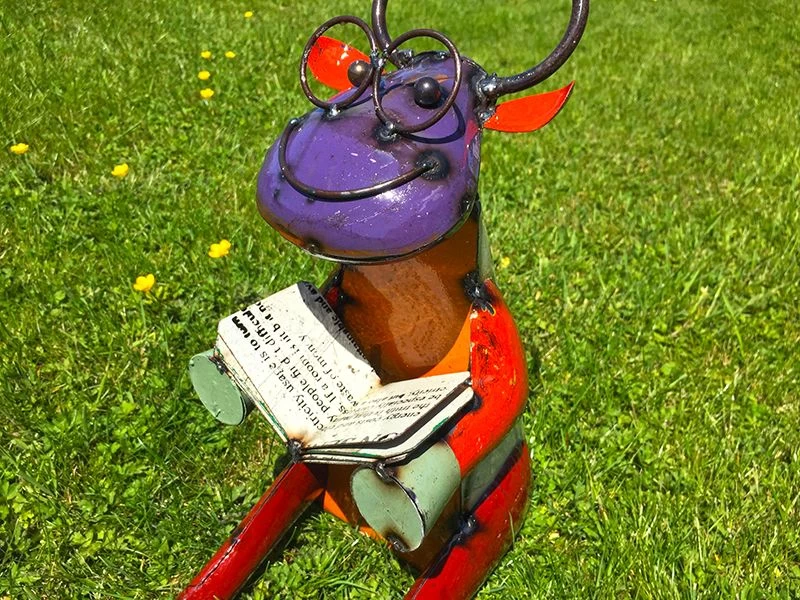 Cow Scholar 7 Cow Scholar - Image 5