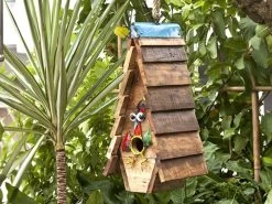 Cuckoos Nest Bird House 7 Cuckoos Nest Bird House -Garden Comfort Shop cuckoos nest website gallery600x600 bi