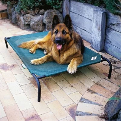 Dog Bed - Large 4 Dog Bed - Large - Image 2