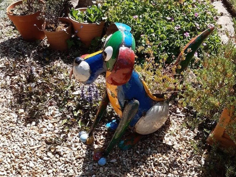 Dynamo The Dog Planter 9 Dynamo The Dog Planter - Image 7