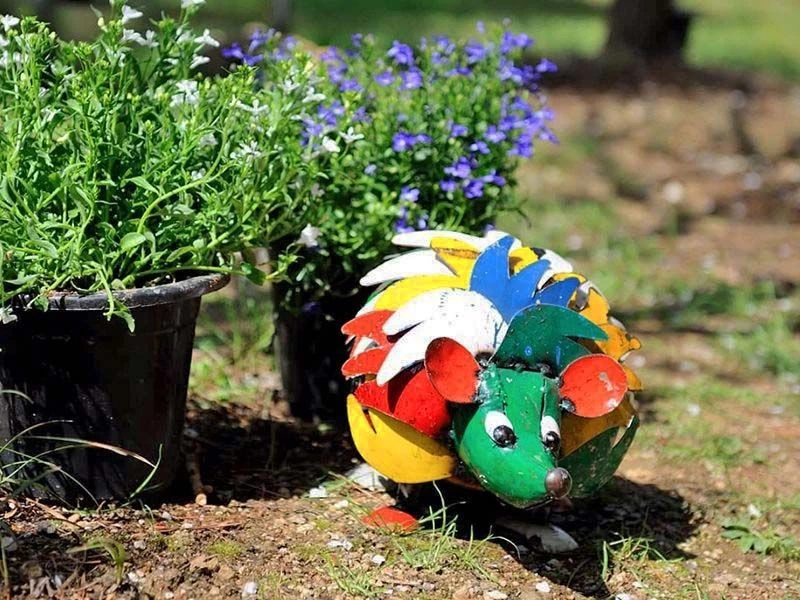 Harry The Hedgehog 11 Harry The Hedgehog - Image 9