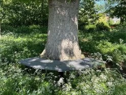 Eco Curved Backless Bench -Garden Comfort Shop eco curved bench 1 bi