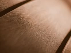 Eco Curved Backless Bench -Garden Comfort Shop eco loom bench edited and resized 16