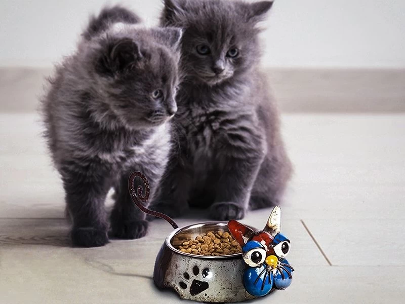 King Of The Cats 4 King Of The Cats - Image 2