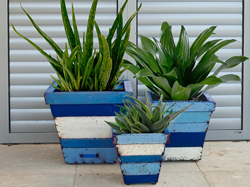 Collaroy Square Planters (Set Of Three) 3 Collaroy Square Planters (Set Of Three)
