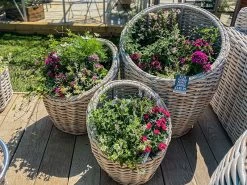 Fiji Flower Baskets -Garden Comfort Shop fiji planters bi
