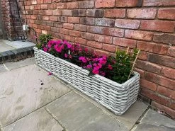 Fiji Trough Planter