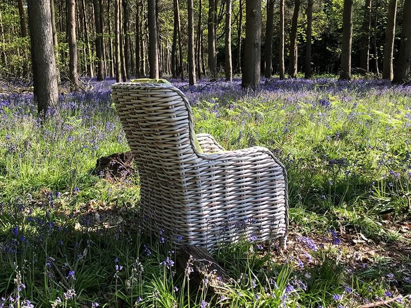 Fiji Dining Armchair 6 Fiji Dining Armchair - Image 4
