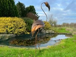 Flamingo Head Up 7 Flamingo Head Up -Garden Comfort Shop flamingo head up 2 xl