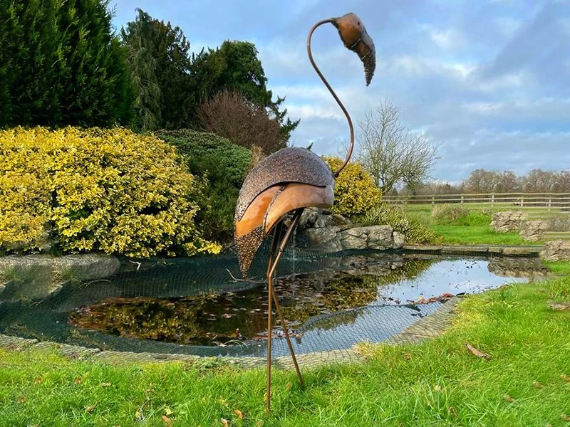 Flamingo Head Up 5 Flamingo Head Up - Image 3