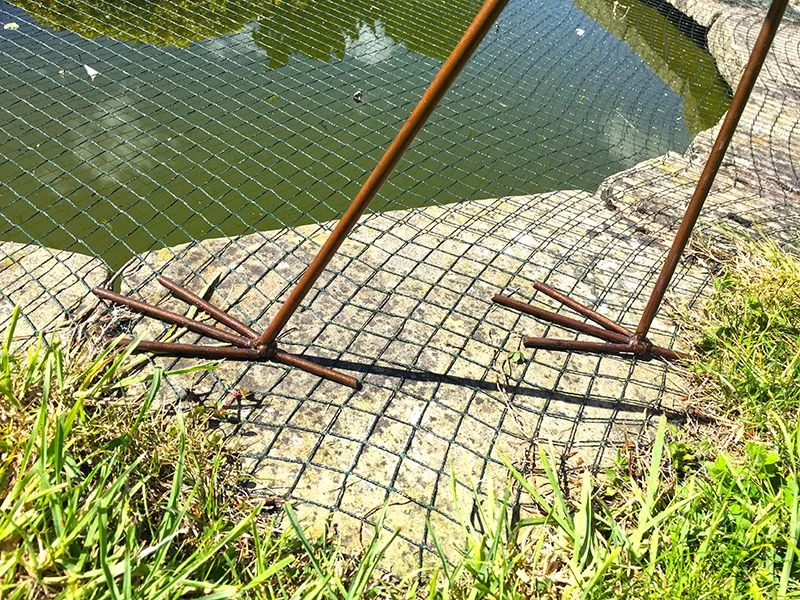 Flamingo Head Twist 7 Flamingo Head Twist - Image 5