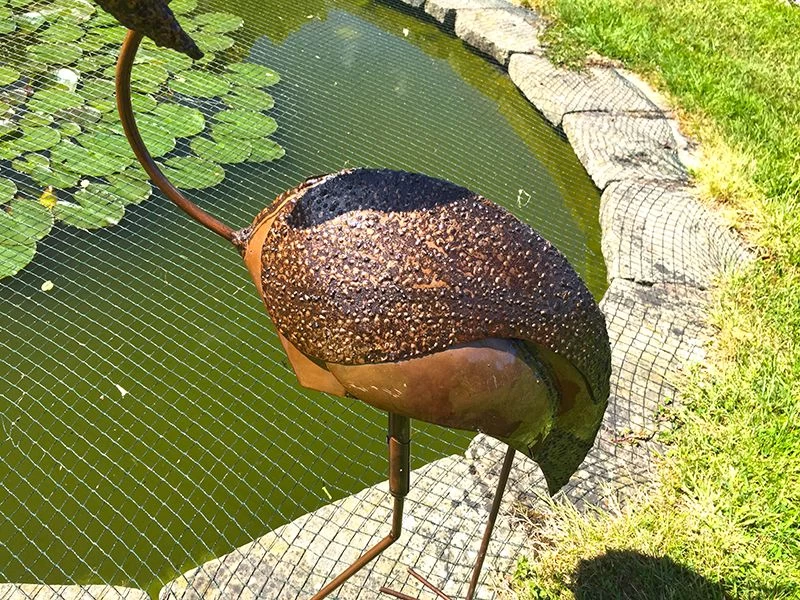 Flamingo Head Twist 8 Flamingo Head Twist - Image 6