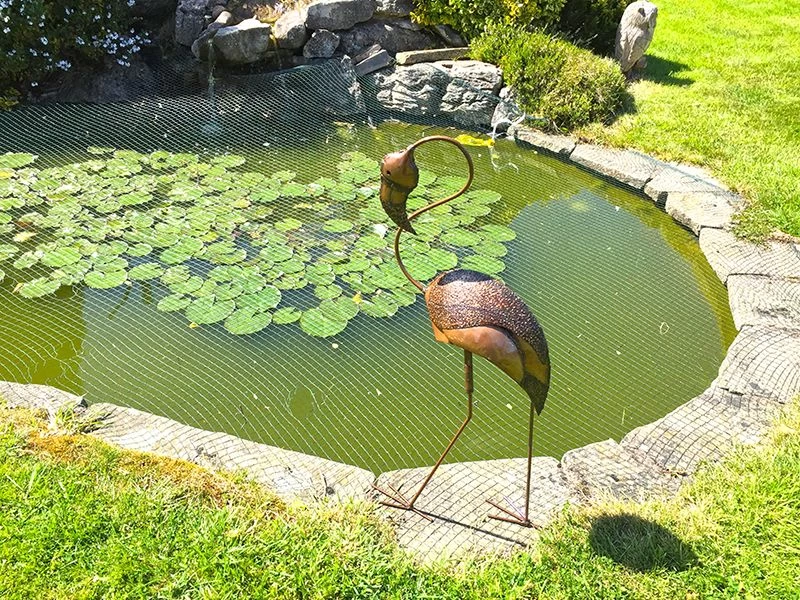 Flamingo Head Twist 5 Flamingo Head Twist - Image 3