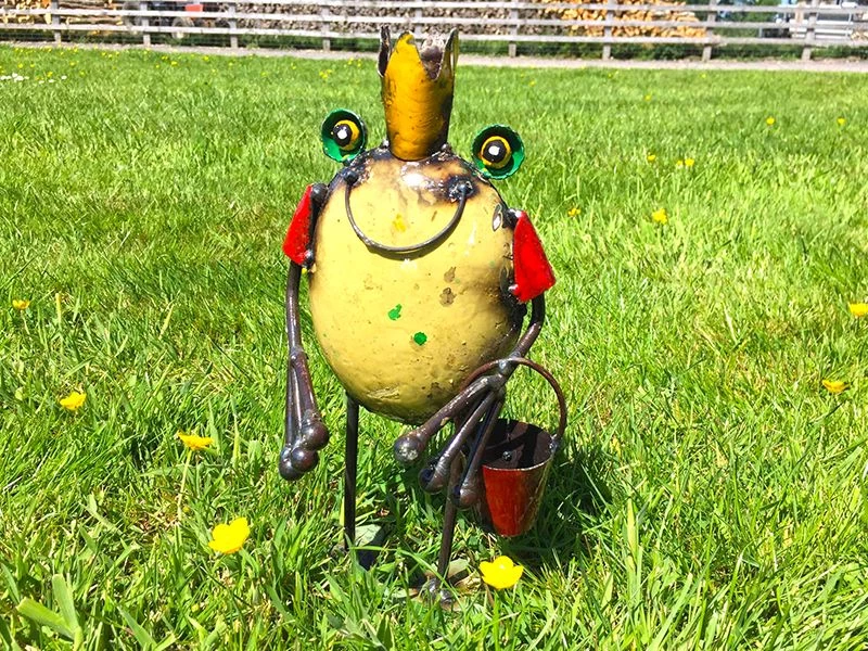 Frog King With Bucket 3 Frog King With Bucket