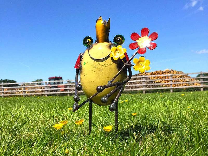 Frog King With Flowers 3 Frog King With Flowers