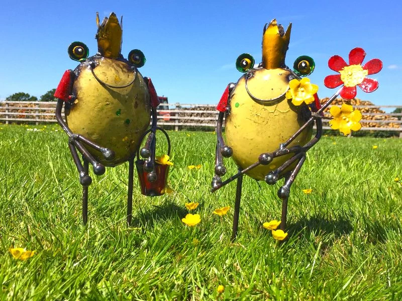 Frog King With Flowers 8 Frog King With Flowers - Image 6