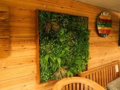 Living Wall Tile | Mixed | 1m X 1m -Garden Comfort Shop gfc wall frame 2 bi 2