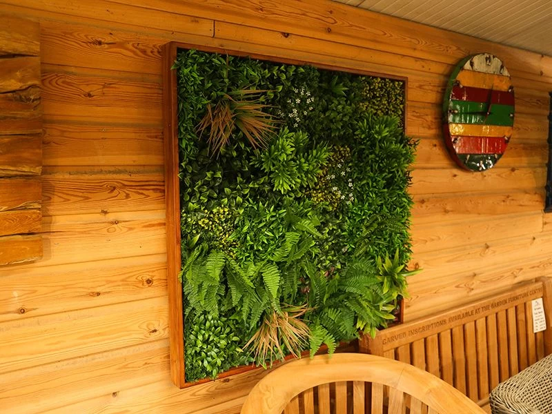 Living Wall Tile | Belgium | 1m X 1m 19 Living Wall Tile | Belgium | 1m X 1m - Image 17