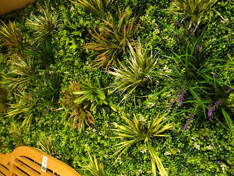 Living Wall Tile | Belgium | 1m X 1m 21 Living Wall Tile | Belgium | 1m X 1m - Image 19