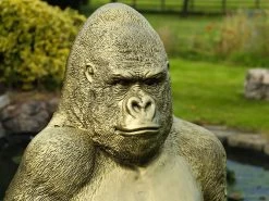 Gorilla Ornament | Gold 20 Gorilla Ornament | Gold -Garden Comfort Shop gold gaz garden 03bi