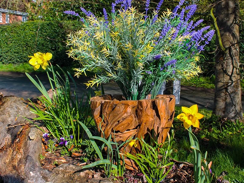 Ikal Small Planter 3 Ikal Small Planter