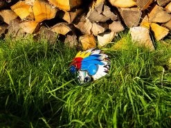 Harry The Hedgehog 16 Harry The Hedgehog -Garden Comfort Shop harry the hedgehog 1bi