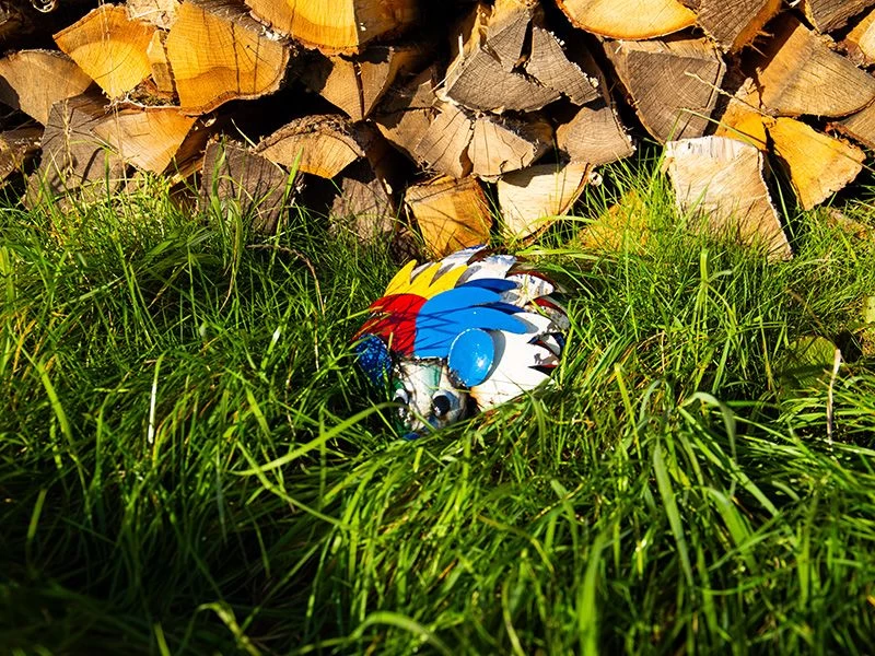 Harry The Hedgehog 7 Harry The Hedgehog - Image 5