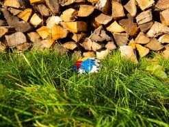 Harry The Hedgehog 17 Harry The Hedgehog -Garden Comfort Shop harry the hedgehog 2bi