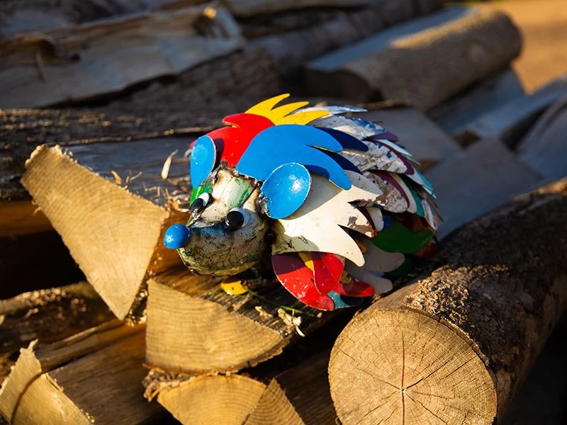 Harry The Hedgehog 3 Harry The Hedgehog