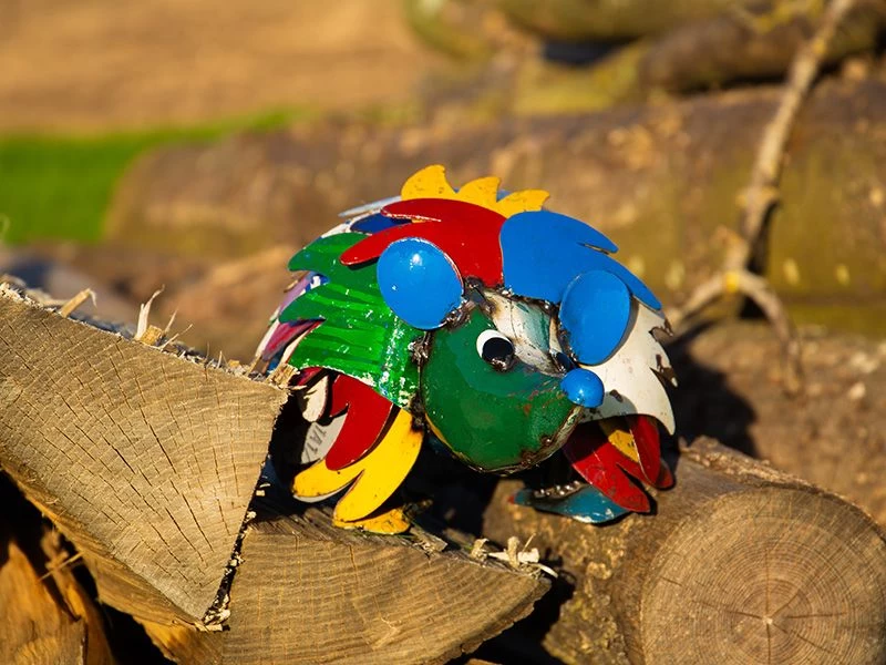 Harry The Hedgehog 4 Harry The Hedgehog - Image 2