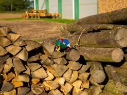 Harry The Hedgehog 15 Harry The Hedgehog -Garden Comfort Shop harry the hedgehog 7bi