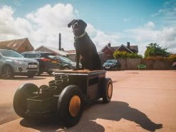 Indian Car Coffee Table 32 Indian Car Coffee Table -Garden Comfort Shop hot rod table resized 15